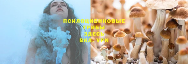 СК Алексеевка