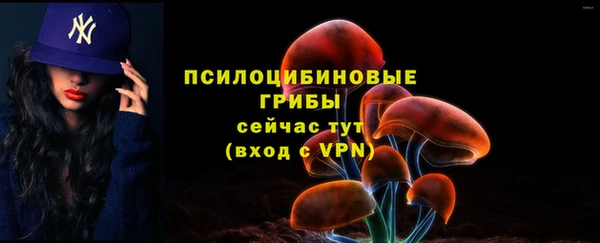 бошки Алексин