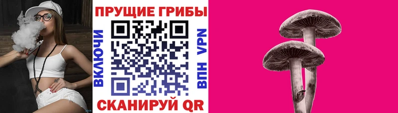Галлюциногенные грибы мухоморы  Купить  Армянск 